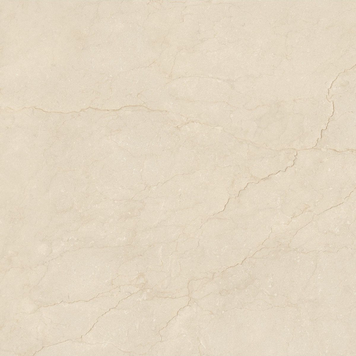 Carrelage Poli Collection Vittoria Marfil